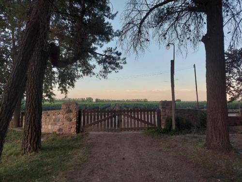 Casa Campo - Altamira – Photos 4