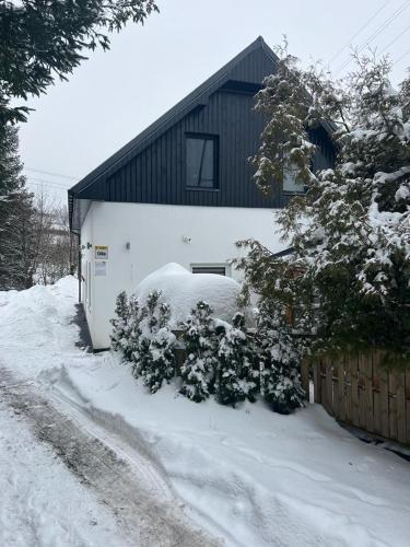 Apartamenty Slowianka