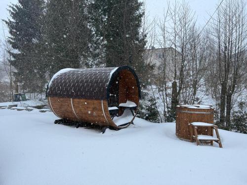 an igloo and a trash can in the snow at Apartamenty Slowianka in Wolibórz