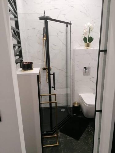 a bathroom with a shower and a toilet at Apartament Czarny z Jacuzzi in Bydgoszcz