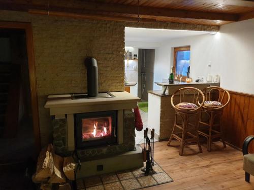 a fireplace in a living room with a stove at horská chata Cecilie in Olešnice v Orlických horách
