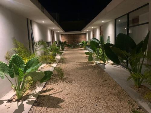 un pasillo con plantas en el lateral de un edificio en Condominio Pacha en Tulum, en Tulum