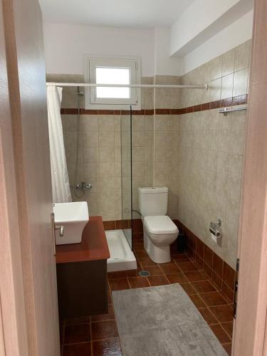 a bathroom with a toilet and a sink at Appartement Villa Pasithea in Xiropigado
