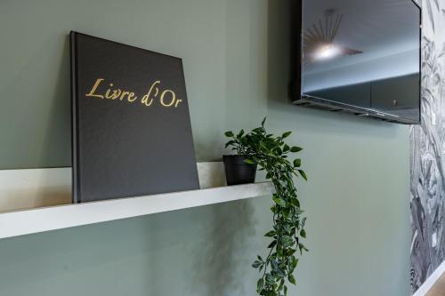 a mirror sitting on a shelf with a plant at Le Green Duplex - Clim - Parking - Netflix - Nestor & Margot in Auterive
