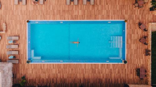 an overhead view of a large blue swimming pool at Manchebo Beach Resort and Spa in Palm-Eagle Beach