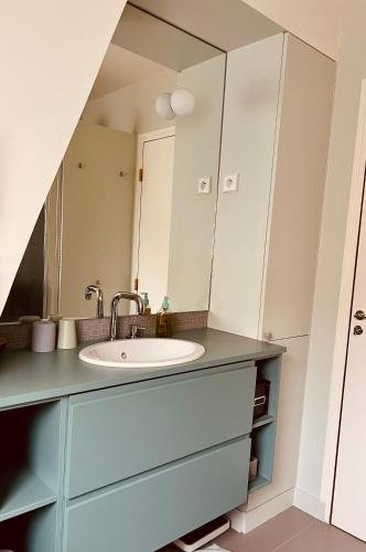 une salle de bain avec un lavabo et un miroir dans l'établissement Marais - Appartement sur les toits, à Paris