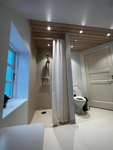 a bathroom with a shower curtain and a toilet at Jerup Bed & Breakfast in Jerup