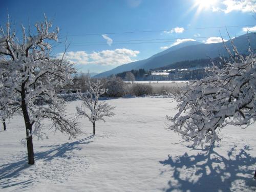 two trees covered in snow with mountains in the background at Gästehaus Lindermuth in Presseggersee