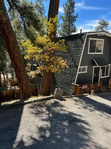 a house with a tree in front of it at Cozy Crescent Tree Cabin Near Bear Mountain in Big Bear Lake