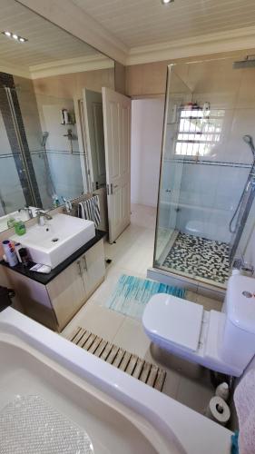 a bathroom with a toilet and a sink and a shower at Clanwilliam Oasis - Naturism, Boating, Hiking & more in Clanwilliam