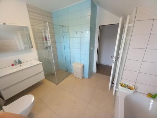 uma casa de banho com um chuveiro, um WC e um lavatório. em Riverside Holiday House em Čatež ob Savi