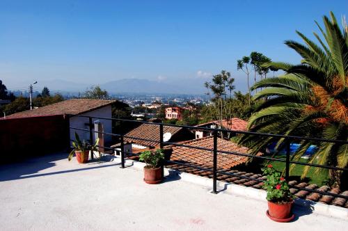 einen Balkon mit Topfpflanzen und einer Palme in der Unterkunft Hotel Venus de Valdivia Aeropuerto in Tababela