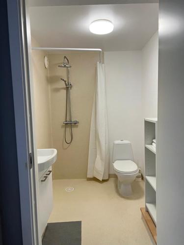 a bathroom with a toilet and a sink and a shower at Jerup Bed & Breakfast in Jerup