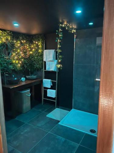 Salle de bains dans l'établissement ESCAPE ZEN Oasis tropicale & Spa privatif