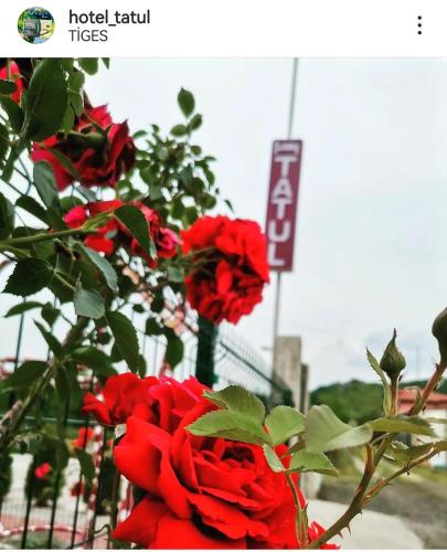 a bunch of red roses sitting next to a sign at Hotel Tatul in Momchilgrad