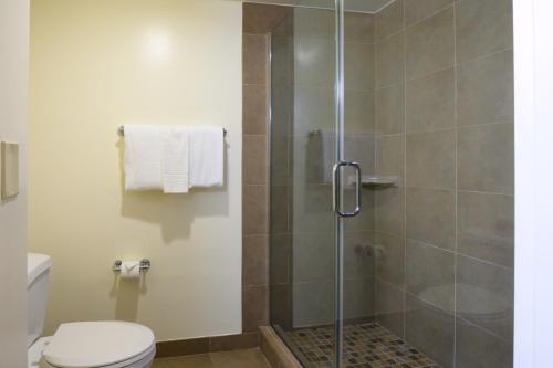 a bathroom with a shower with a toilet at Airtel Plaza Hotel in Van Nuys