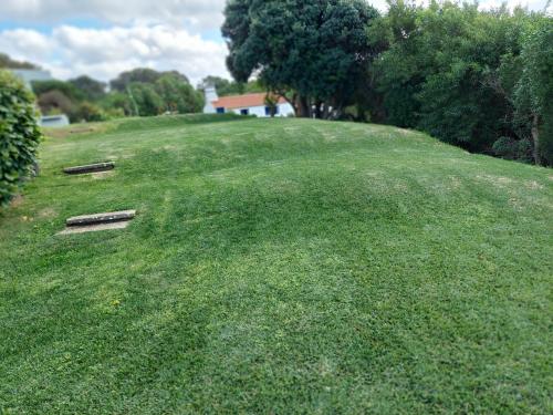 a large grassy hill with two posts in it at Herdade AMÁLIA RODRIGUES in Zambujeira do Mar