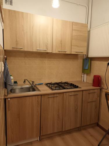 - une cuisine avec des placards en bois, un évier et une cuisinière dans l'établissement Apartament Eliot, à Varsovie