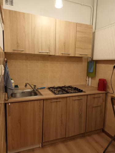 a kitchen with wooden cabinets and a sink and a stove at Apartament Eliot in Warsaw