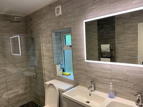 a bathroom with a sink and a mirror and a toilet at Cosy Cottage in the heart of Black Down Hills in Yarcombe