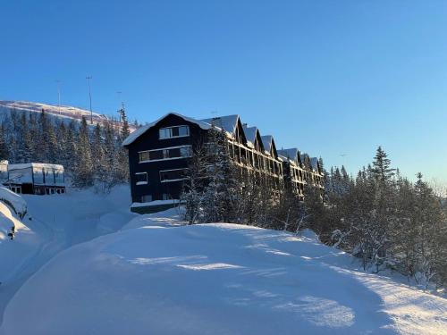 ein Blockhaus im Schnee mit vielen Bäumen in der Unterkunft Astonishing Mountain Lodge at the top of Gaustablikk, 25m2 west facing terrace, 3 bedrooms in Gaustablikk