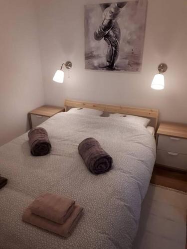 a bedroom with a bed with two towels on it at Apartment Ana in Slavonski Brod