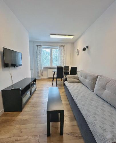ein Wohnzimmer mit einem Sofa und einem Tisch in der Unterkunft Apartament Gallusa in Kattowitz