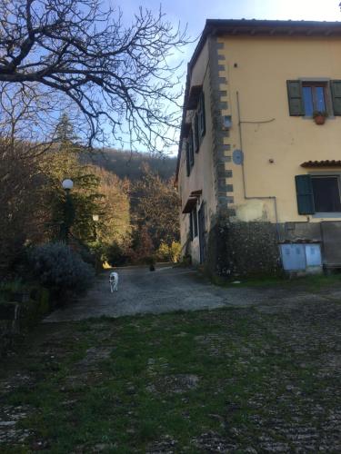 a cat walking in front of a house at Welcome in Toscana in Polcanto