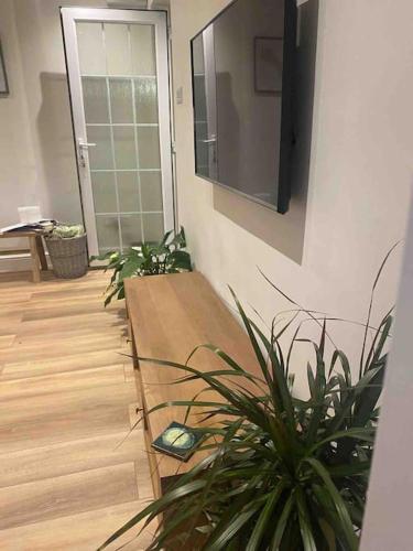 a living room with potted plants and a television at Lotties Cottage in Broadway