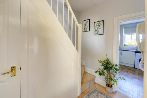 a staircase in a house with a plant at Regency Nest by Spa Town Property - Stylish 3 Bedroom Apartment on 2 Floors, Central Leamington Spa in Leamington Spa
