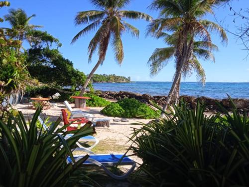 a beach with palm trees and chairs and the ocean at Résidence Nature Ocean - M&P Concept in Cadet