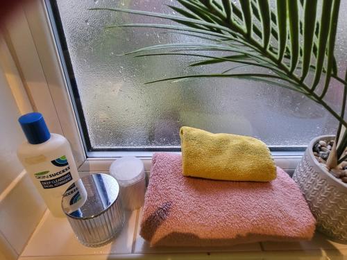 a window with a sink with a sponge and a toothbrush at Exclusive apartment in Bristol in Bristol