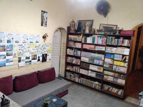 un salon avec une étagère remplie de livres dans l'établissement New Safari Hostel, au Caire