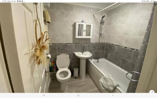 a bathroom with a toilet and a sink and a tub at One bed flat in Southampton