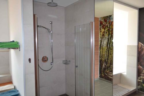a shower with a glass door in a bathroom at Apartments in Fischbach bei Dahn - Pfälzerwald 42914 in Fischbach bei Dahn