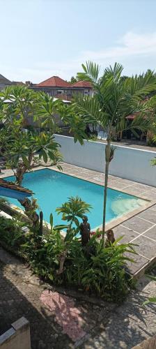 a small palm tree next to a swimming pool at Hotel My New Lovina in Lovina