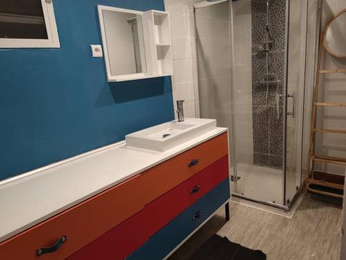 een badkamer met een wastafel en een douche bij Rêves de rivière- fonctionnel et bien placé in Le Carbet