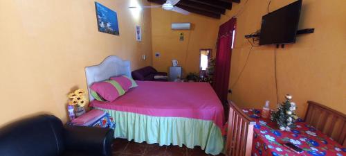 a bedroom with a pink bed and a television at Hospedaje Luque in Luque