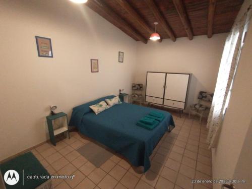 1 dormitorio con 1 cama con edredón azul en SANVACAS en San Rafael