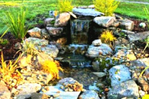 a garden with a pond with rocks and a waterfall at Secluded Tiny House by the Marsh with Hunting Island Beach Pass in St. Helena Island