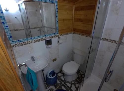 ein kleines Bad mit WC und Waschbecken in der Unterkunft Chiloe Seta in Ancud