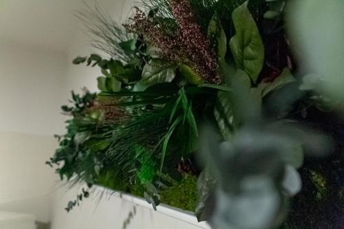 Interno 9 photo 49