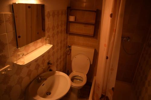 a small bathroom with a toilet and a sink at Rooms in Vodice with balcony, air conditioning, WiFi 4826-1 in Vodice