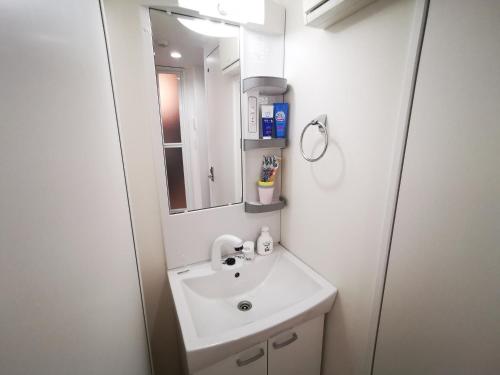 東京的住宿－KIKI HOUSE 新小岩，一间带水槽和镜子的浴室