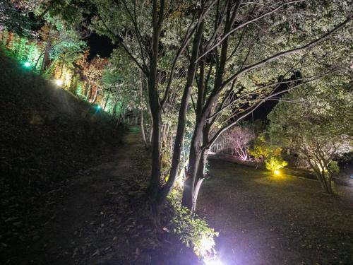 a tree in a park at night with lights at Bettei Fujiya in Miyajima