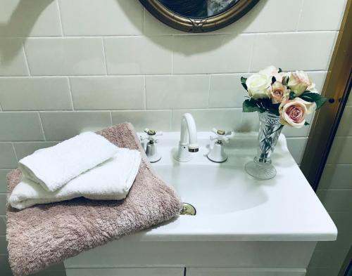 a bathroom sink with a vase of flowers on it at Hawk's Nest Bed & Breakfast in Bathurst