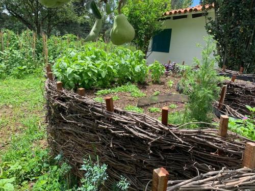 a fence made out of sticks in a garden at La Casa de la Huerta in Tarija