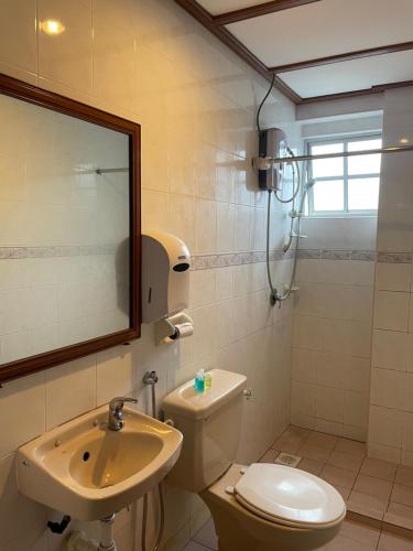 uma casa de banho com um WC, um lavatório e um espelho. em Star Regency Hotel & Apartments em Brinchang