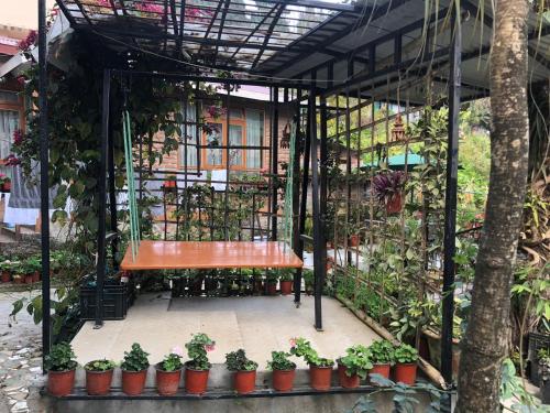 a wooden bench in a greenhouse with plants at Roots Shoots & Beds in Kalimpong