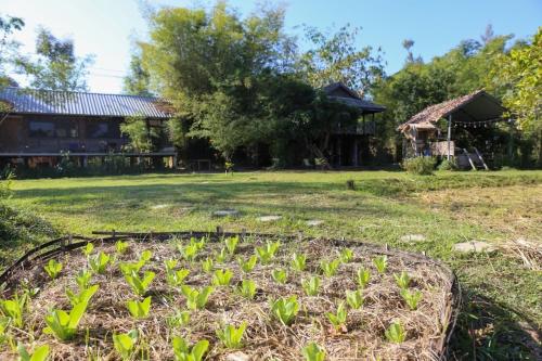 Zahrada ubytování Farm Cabin Hang Tueng Farm Stay Vacation rental Chiang Mai